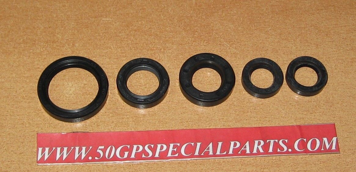 GILERA 300 BICILINDRICA SERIE PARAOLI MOTORE