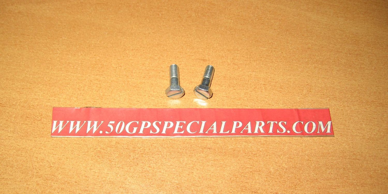 VITE FISSAGGIO PIPETTA BENZINA N.2PZ DELLORTO VHB BS BD VHB AS AD 4568