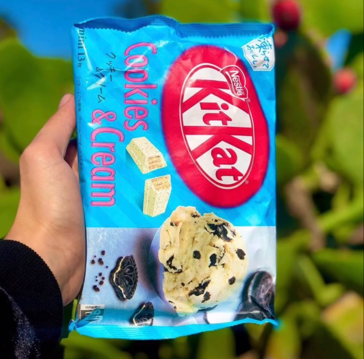 ?Mystery Japan Kitcat Box.?