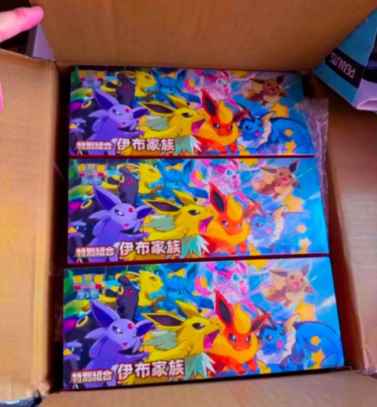 Japan Etb