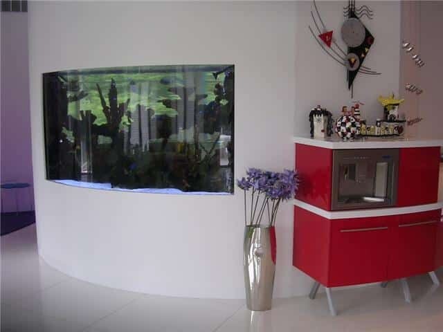 Customer Aquarium