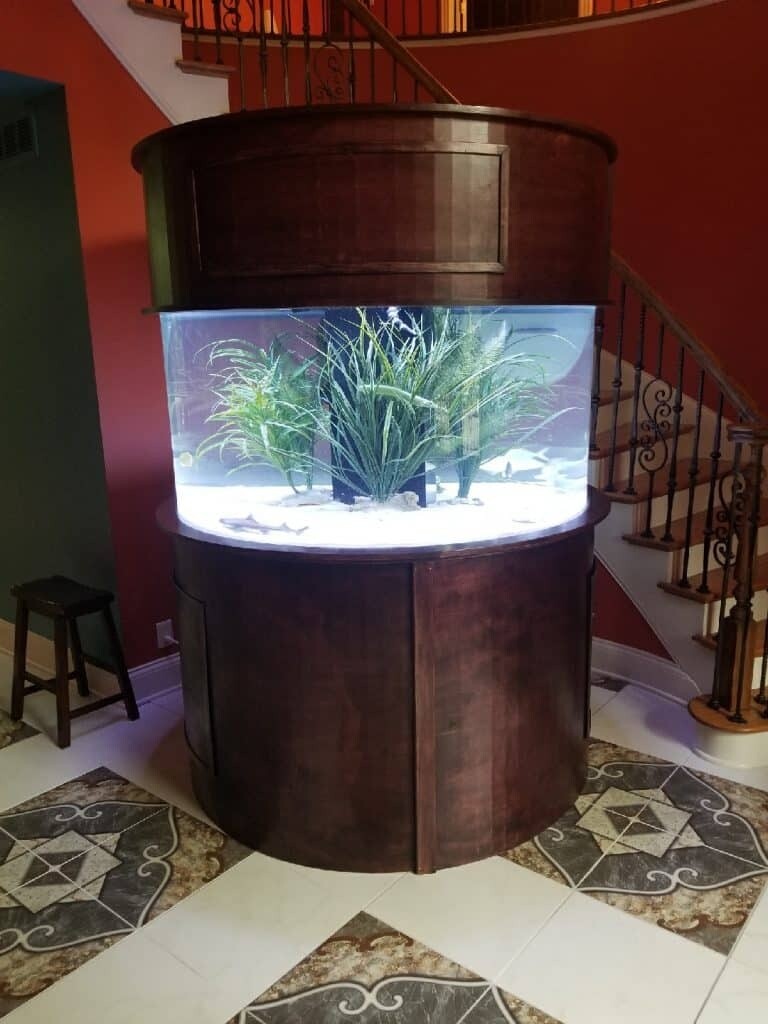 Customer Aquarium