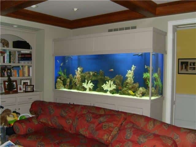 Customer Aquarium