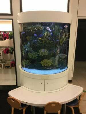 Customer Aquarium