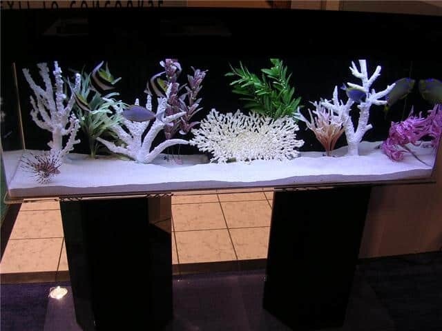 Customer Aquarium