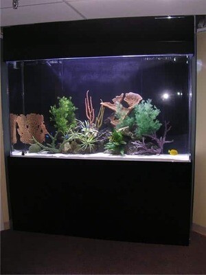 Customer Aquarium