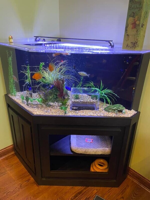 Customer Aquarium