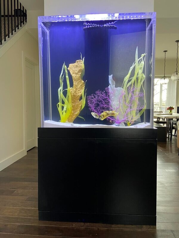 Customer Aquarium