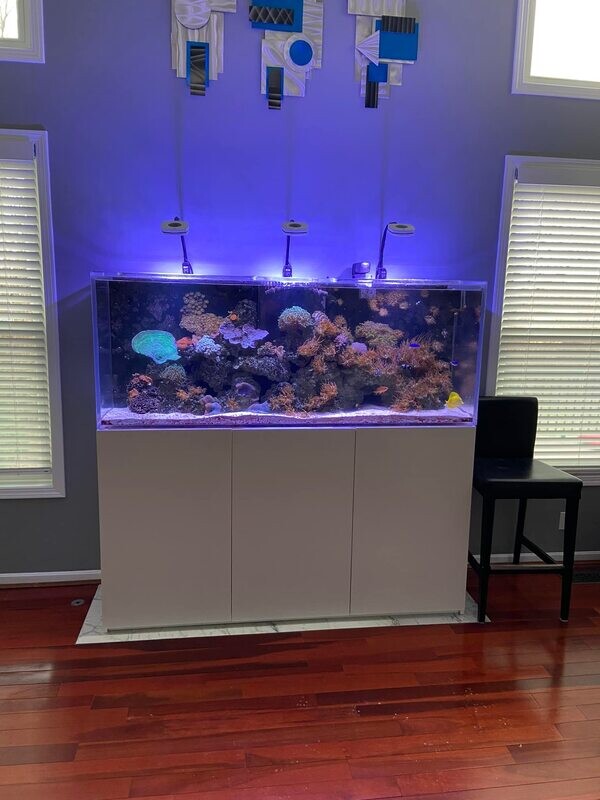 Customer Aquarium