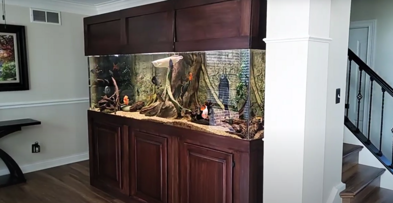 Customer Aquarium