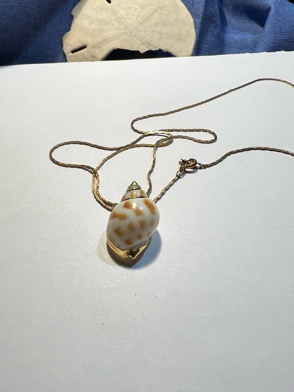 Washed in Wonder – Gold-Tone Shell Pendant Necklace (24”)