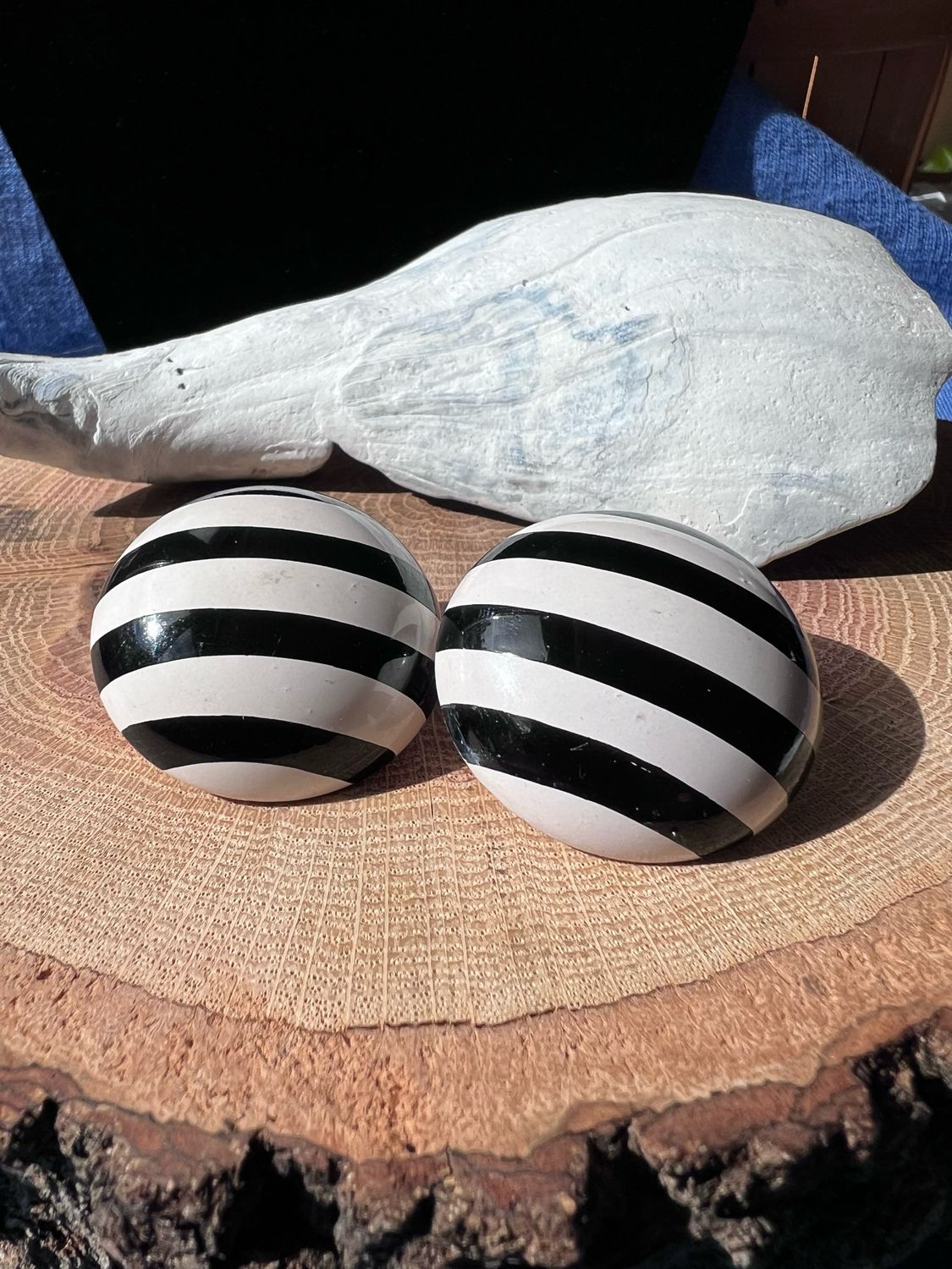 Black And White Striped Earrings