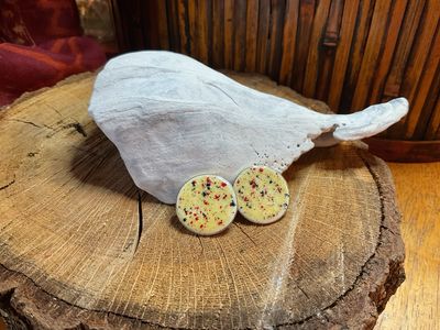 Abstract Enamel earrings