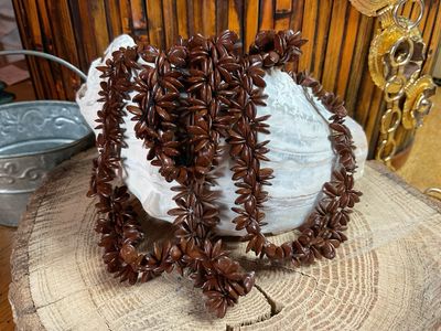 Apple Seed Necklace