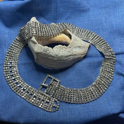 Vintage Stunning Rhinestone Belt