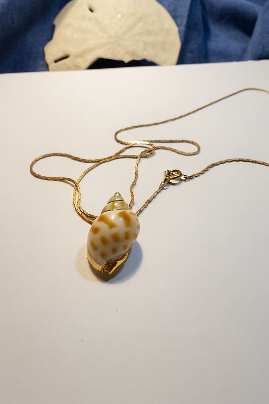 Washed in Wonder – Gold-Tone Shell Pendant Necklace (24”)