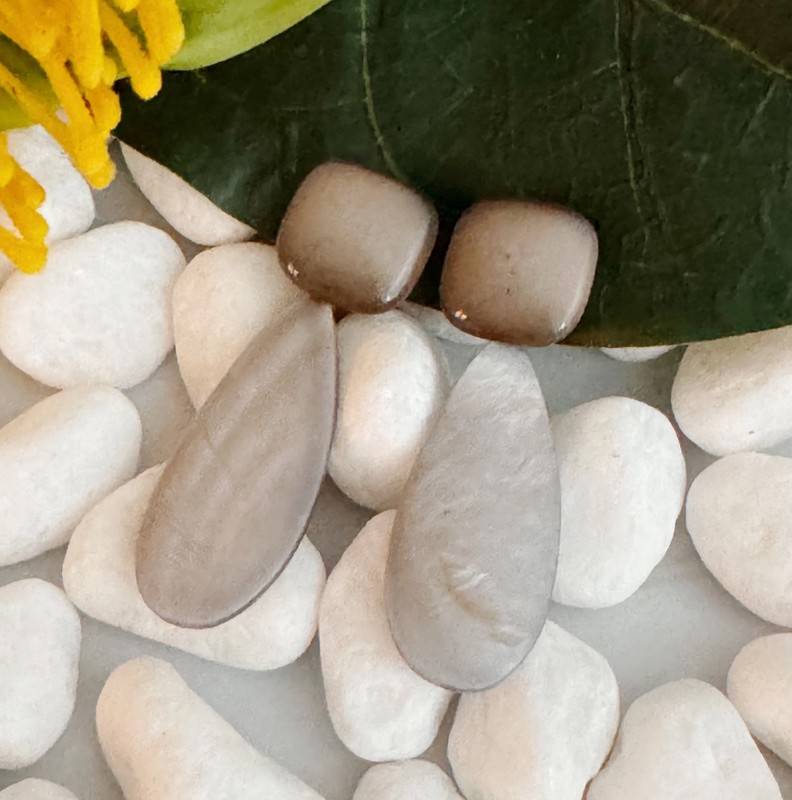 Pastel Breeze Double Stone Earrings