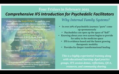 Comprehensive IFS Introduction for NAROPA Psychedelic Facilitators