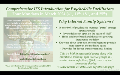 Comprehensive IFS Introduction for Psychedelic Facilitators
