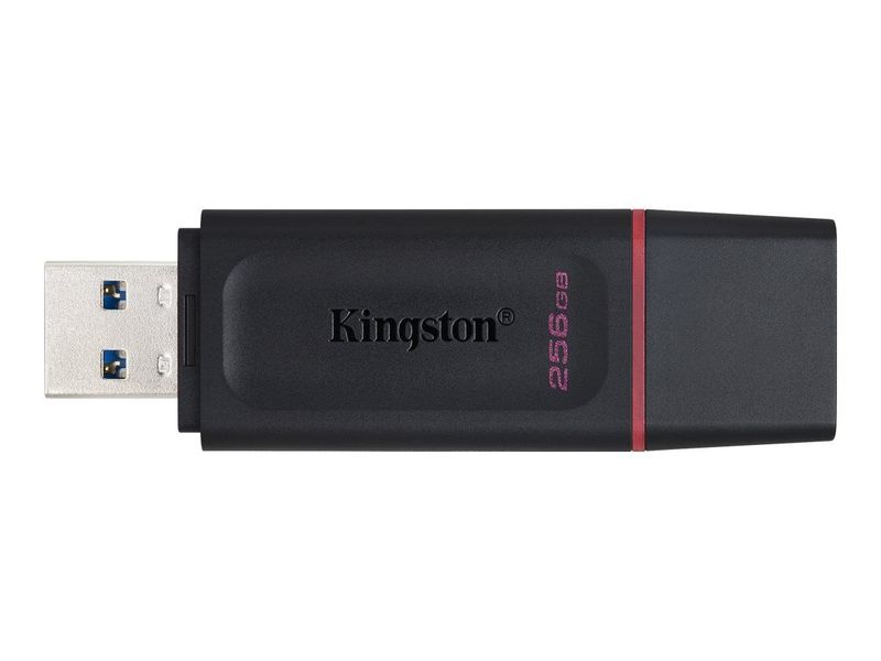 Kingston DataTraveler Exodia - USB flash drive - 256 GB