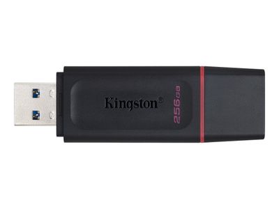 Kingston DataTraveler Exodia - USB flash drive - 256 GB