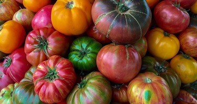Heirloom Tomatoes