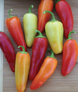 Heirloom Peppers
