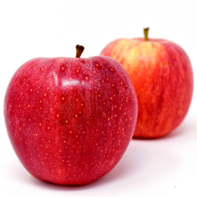 Apple Semi-Dwarf Gala   BARE ROOT