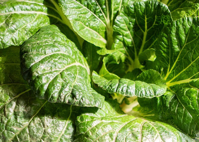 Mustard Greens