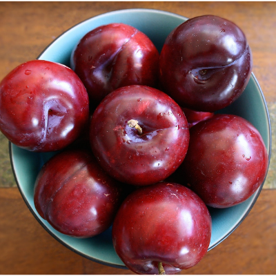 Plum “Methley”