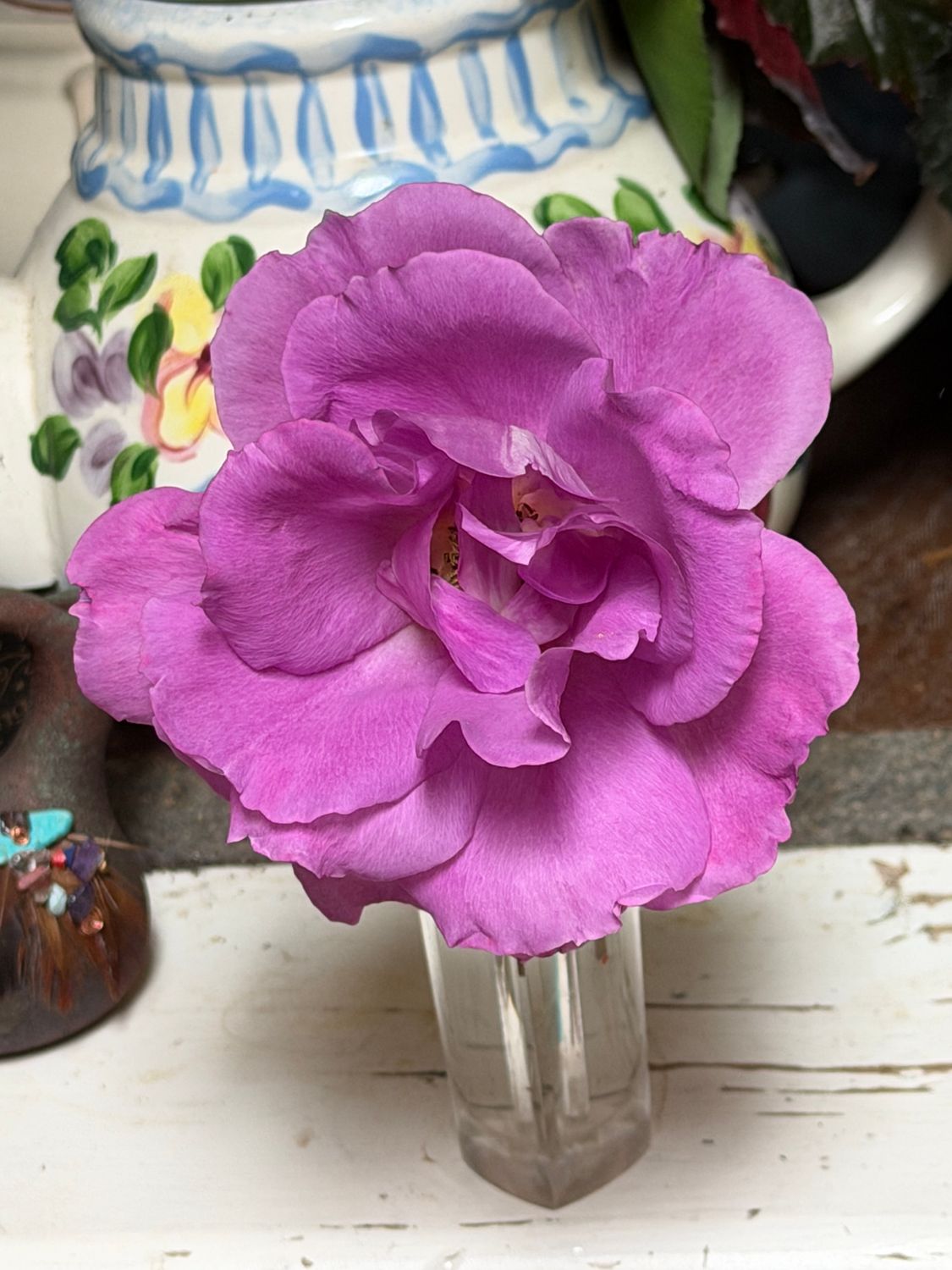 Rose Pink-Violet