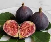 Fig, Violette De Bordeaux