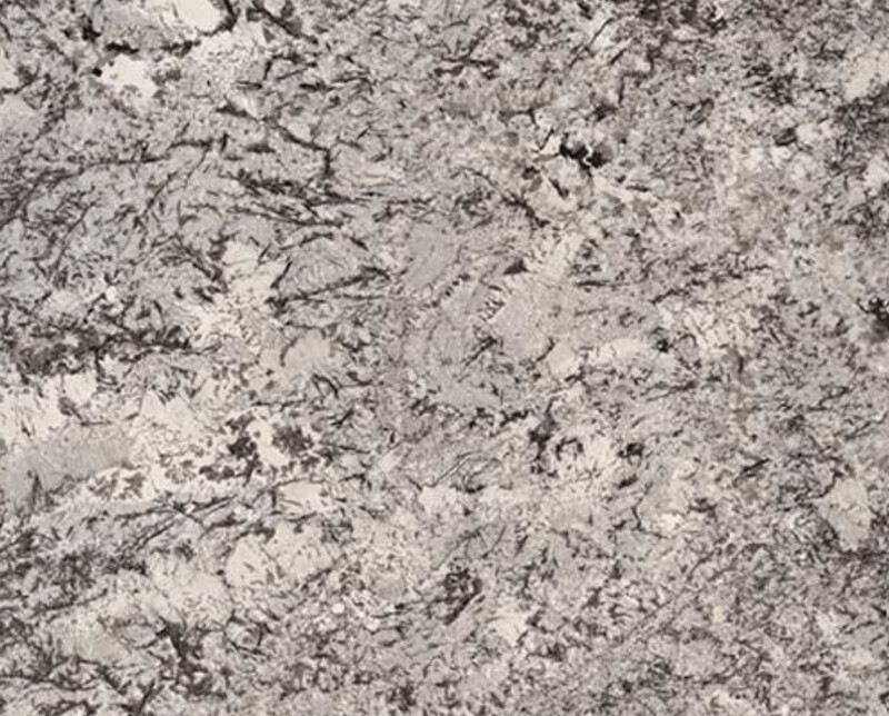Delicatus White
