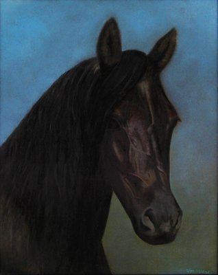 Horse - Print