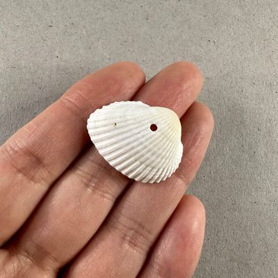 Dije Caracol Ostras Blancas 25 x 20 x 10 mm
