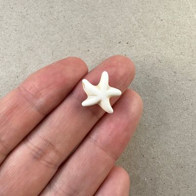Piedra Sintética Turquesa Estrella de Mar 15 x 13 x 5 mm Natural