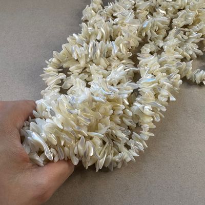 Piedra Natural Nácar Nuggets Grandes 10-30 x 5-10 x 5 mm Blanco