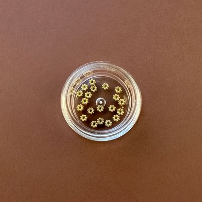 Separador de Acero Quirúrgico Snowflake Flor Dorado Bañado 18 K. 3 x 1 mm
