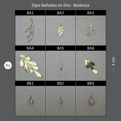 Dijes Bañados CAJA 08A Botánica