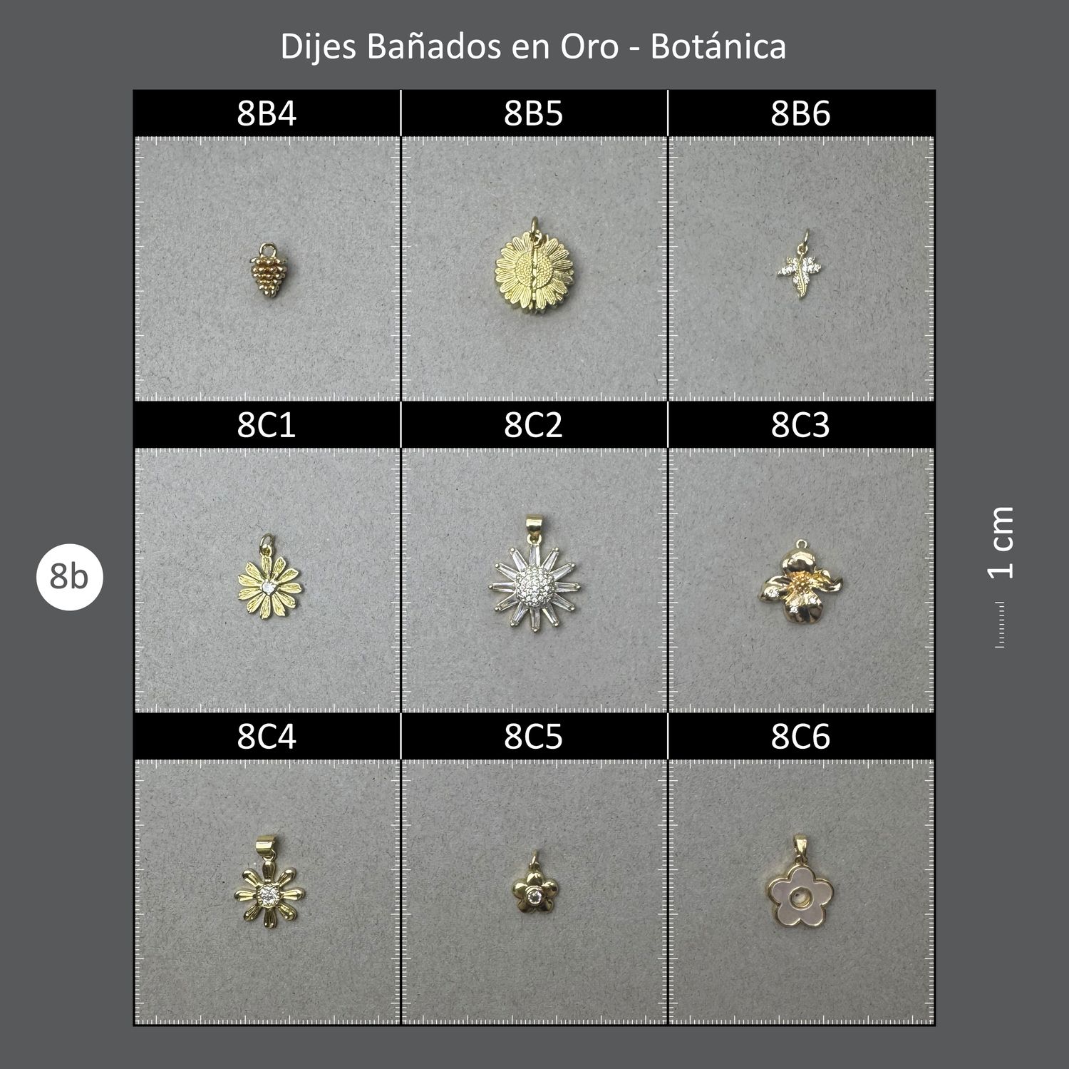 Dijes Bañados CAJA 08B Botánica