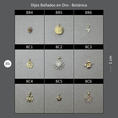 Dijes Bañados CAJA 08B Botánica