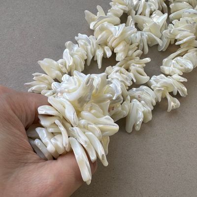 Piedra Natural Nácar Nuggets 2.5-25 x 15-42 x 7-30 mm Blanco