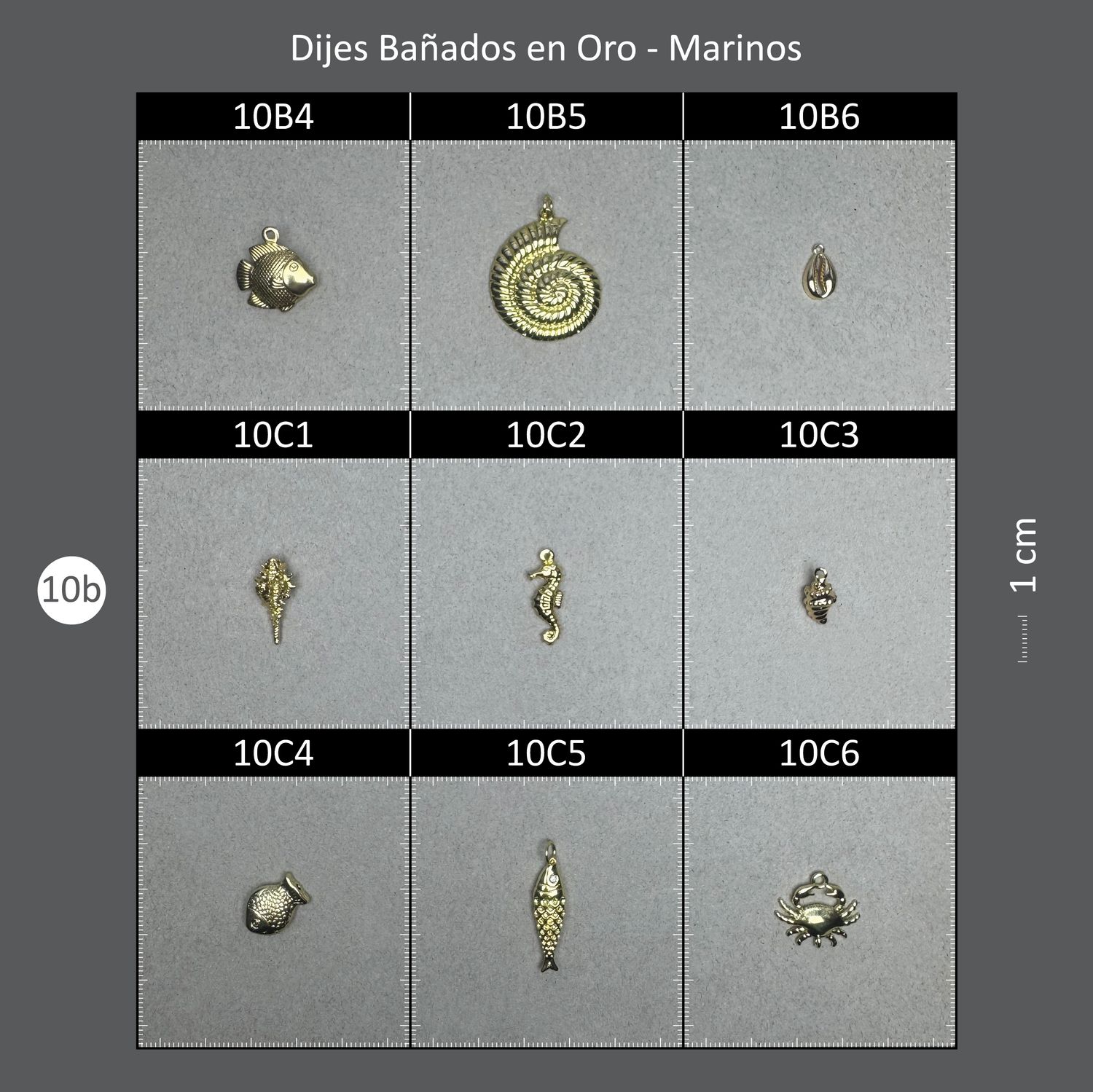 Dijes Bañados 10B Marinos