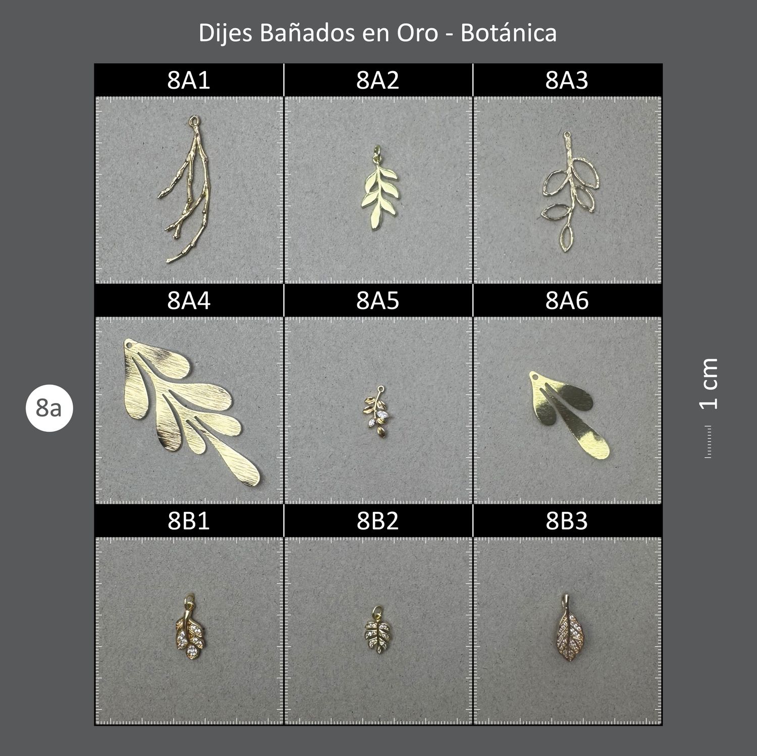 Dijes Bañados 08A Botánica