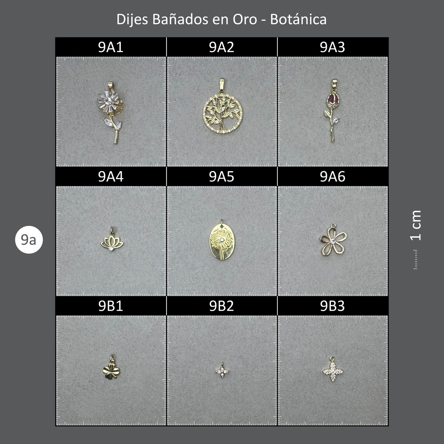 Dijes Bañados 09A Botánica