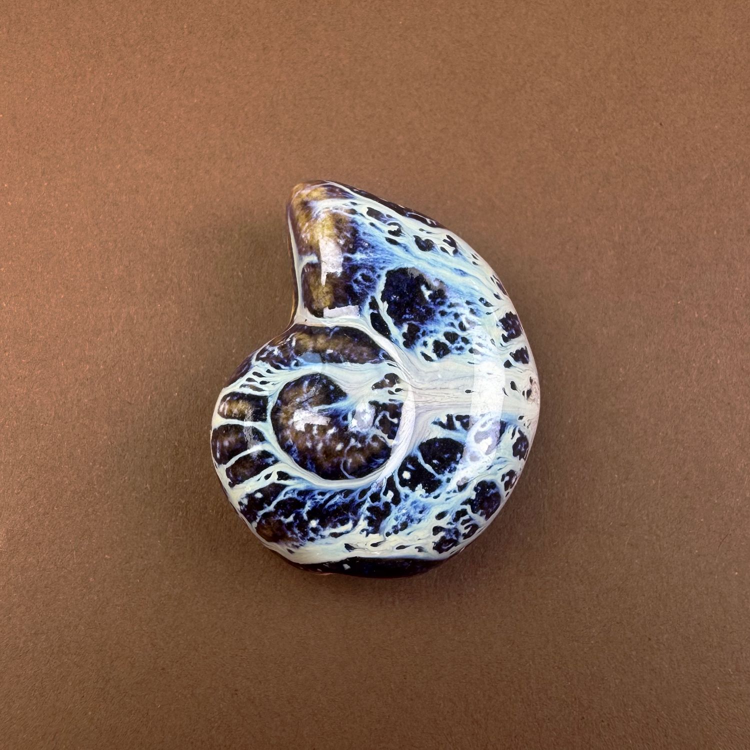 Cerámica Caracol Nautilus Esmaltado 40 x 30 x 16.5 mm Marrón / Azul