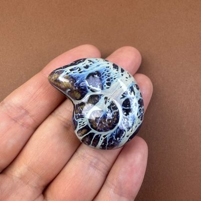 Cerámica Caracol Nautilus Esmaltado 40 x 30 x 16.5 mm Marrón / Azul