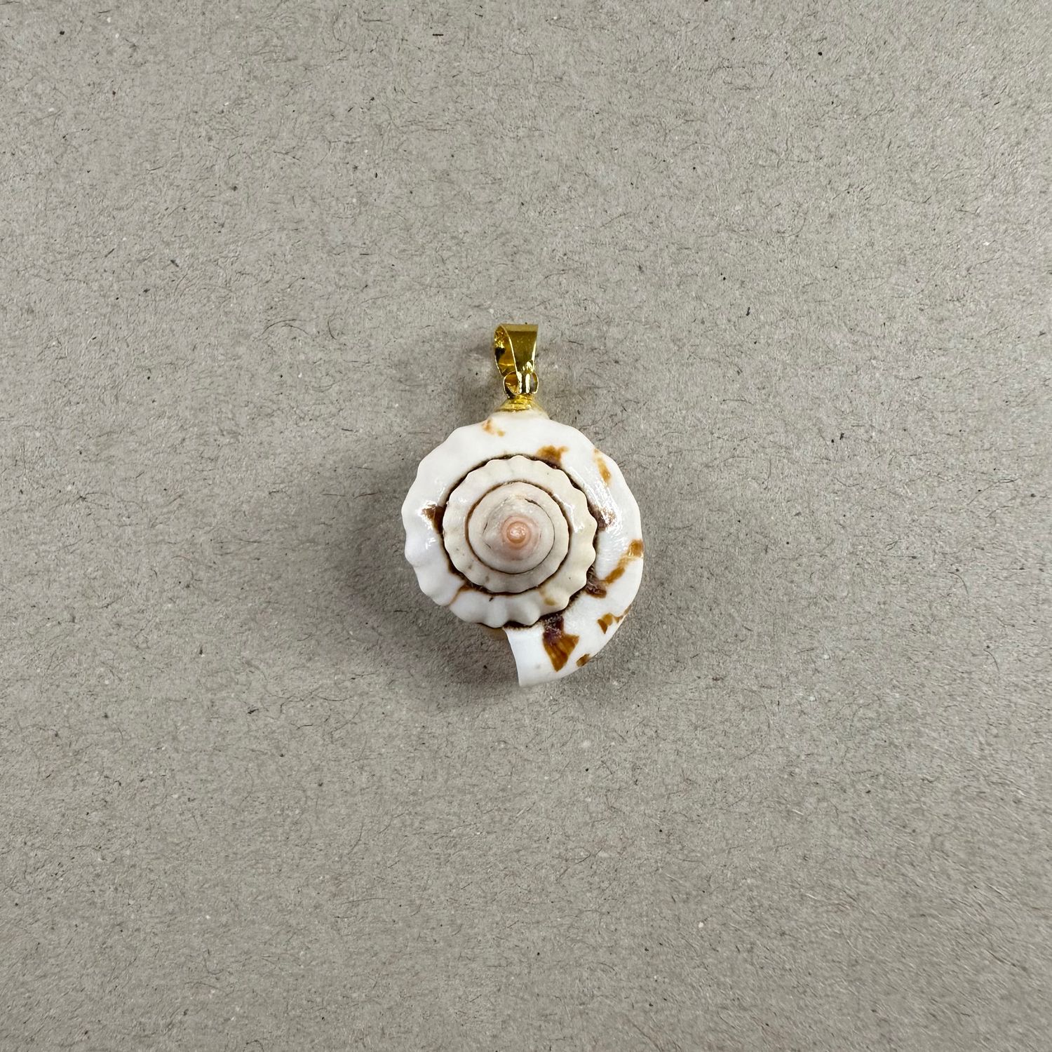 Dije Caracol Cortado Terminación Dorado 23-29 x 18-25 x 12-16 mm