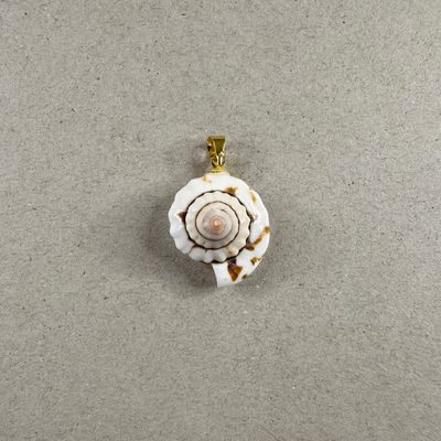 Dije Caracol Cortado Terminación Dorado 23-29 x 18-25 x 12-16 mm