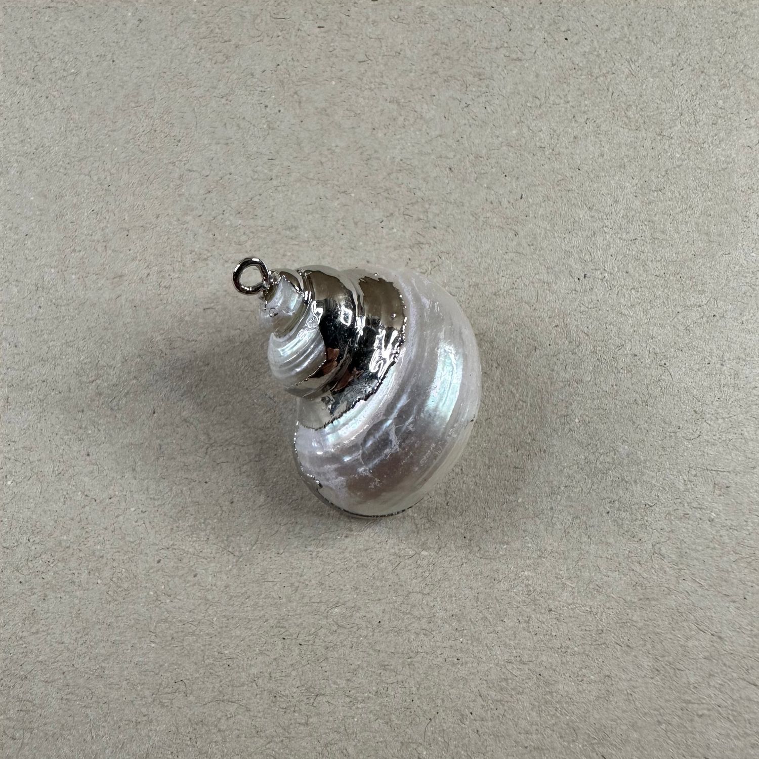 Dije Caracol Nácar Terminación Plateado 30 x 24 x 15 mm